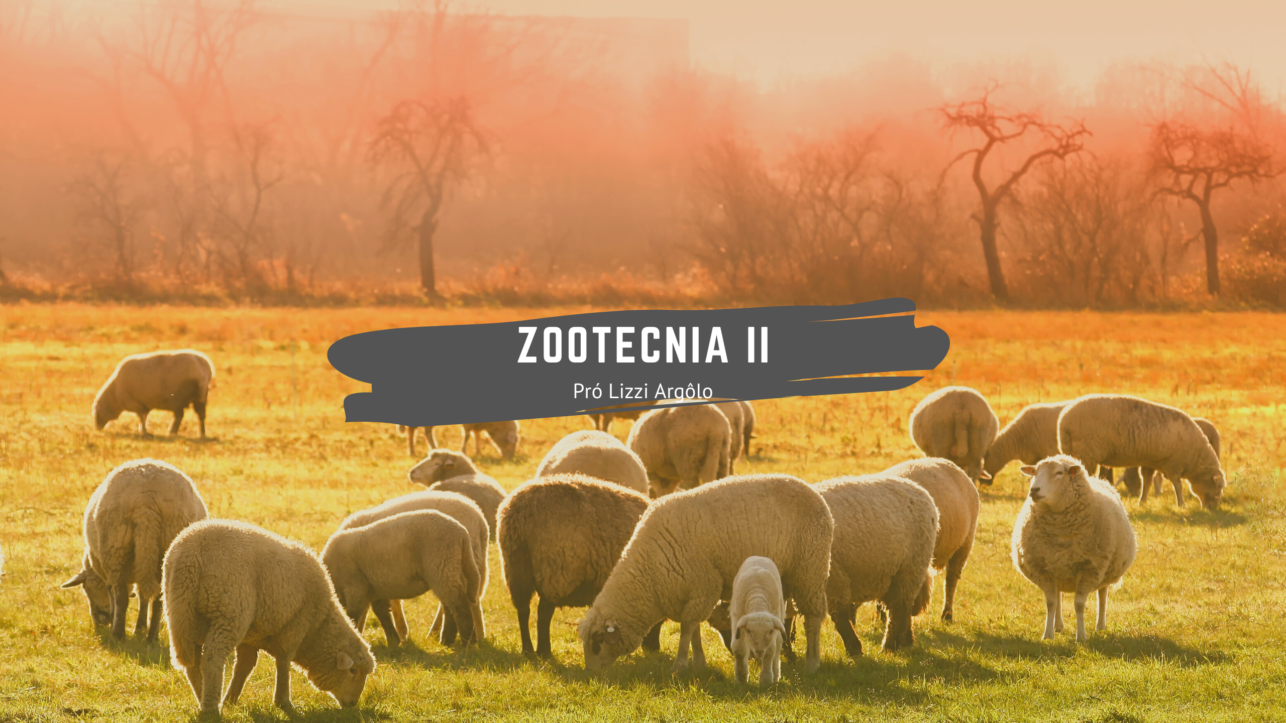Zootecnia II
