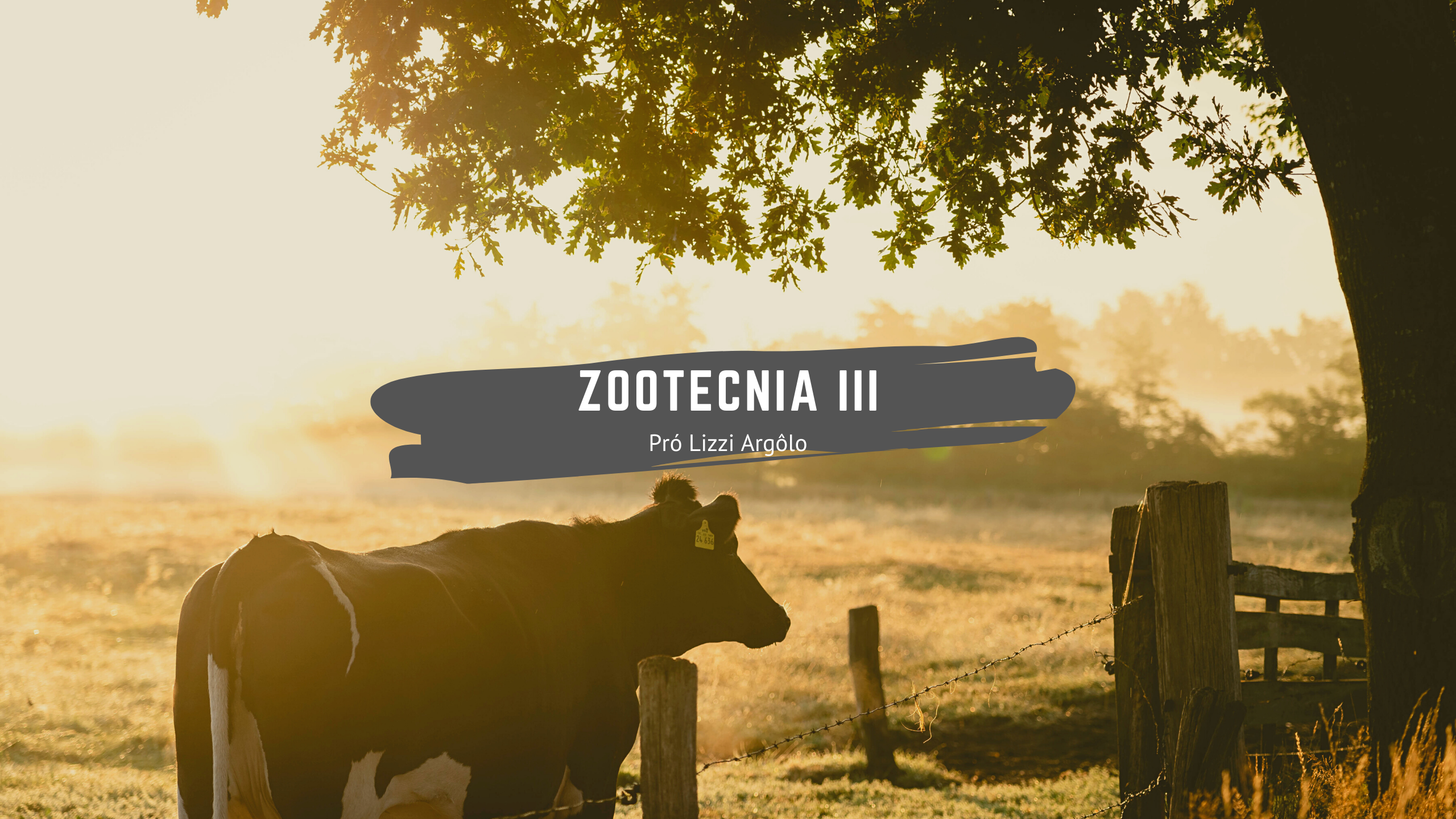 Zootecnia III