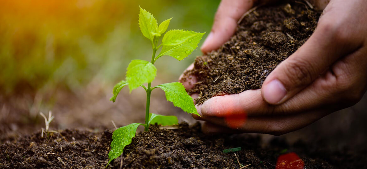 Agroecologia e Gestão Ambiental 1AA