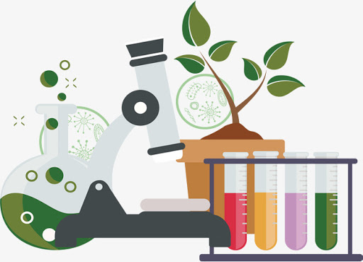 Tópicos Especiais: Química aplicada à Biologia (Optativa)