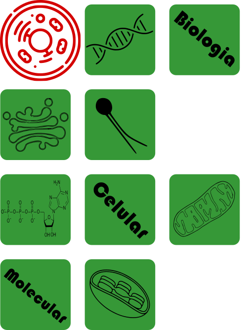 Biologia Celular e Molecular