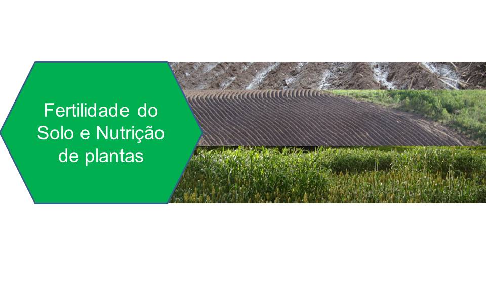  Fertilidade do Solo e Nutrição de Plantas (2º sem.) Docente Antonio Sousa 