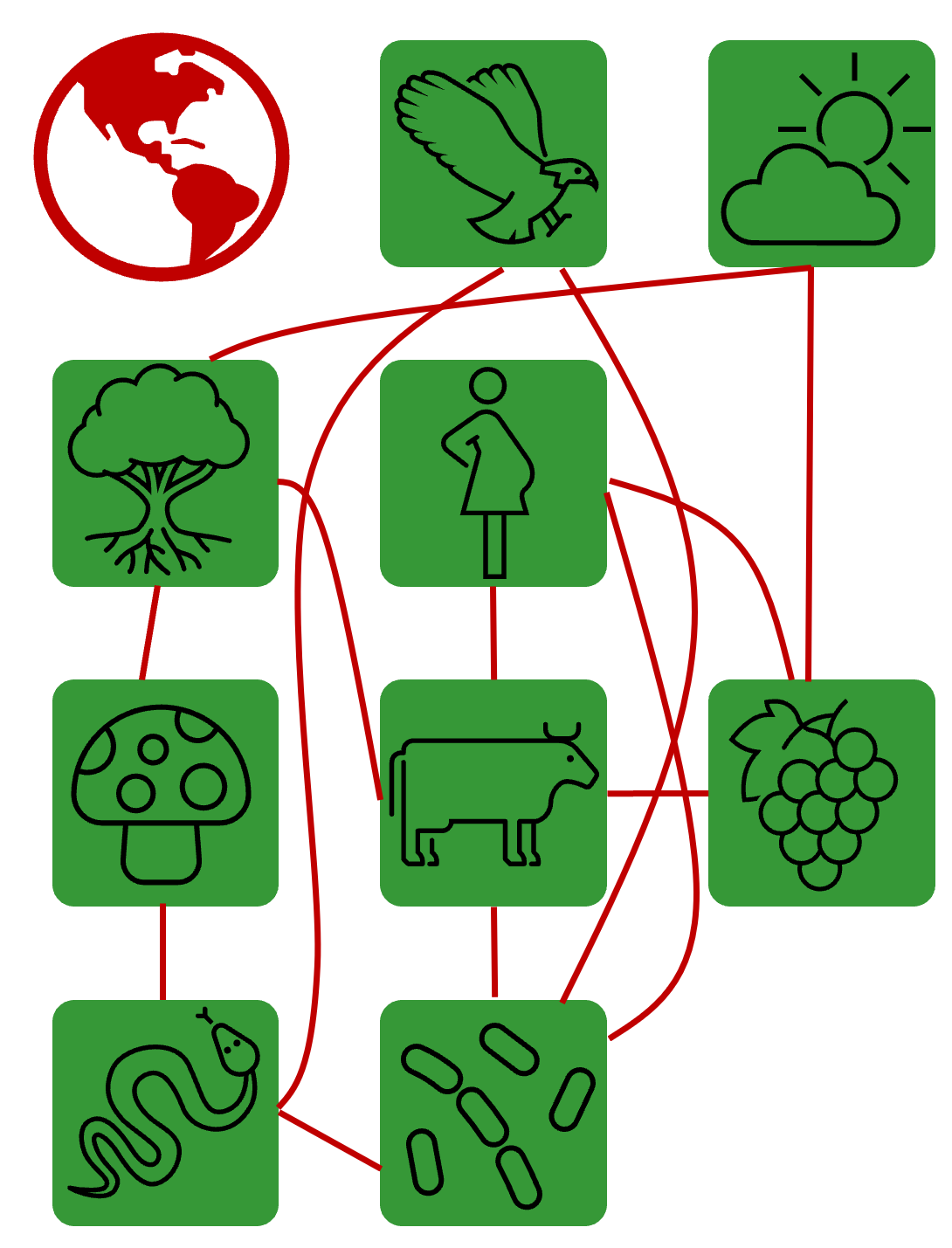 ECOLOGIA DAS POPULAÇÕES