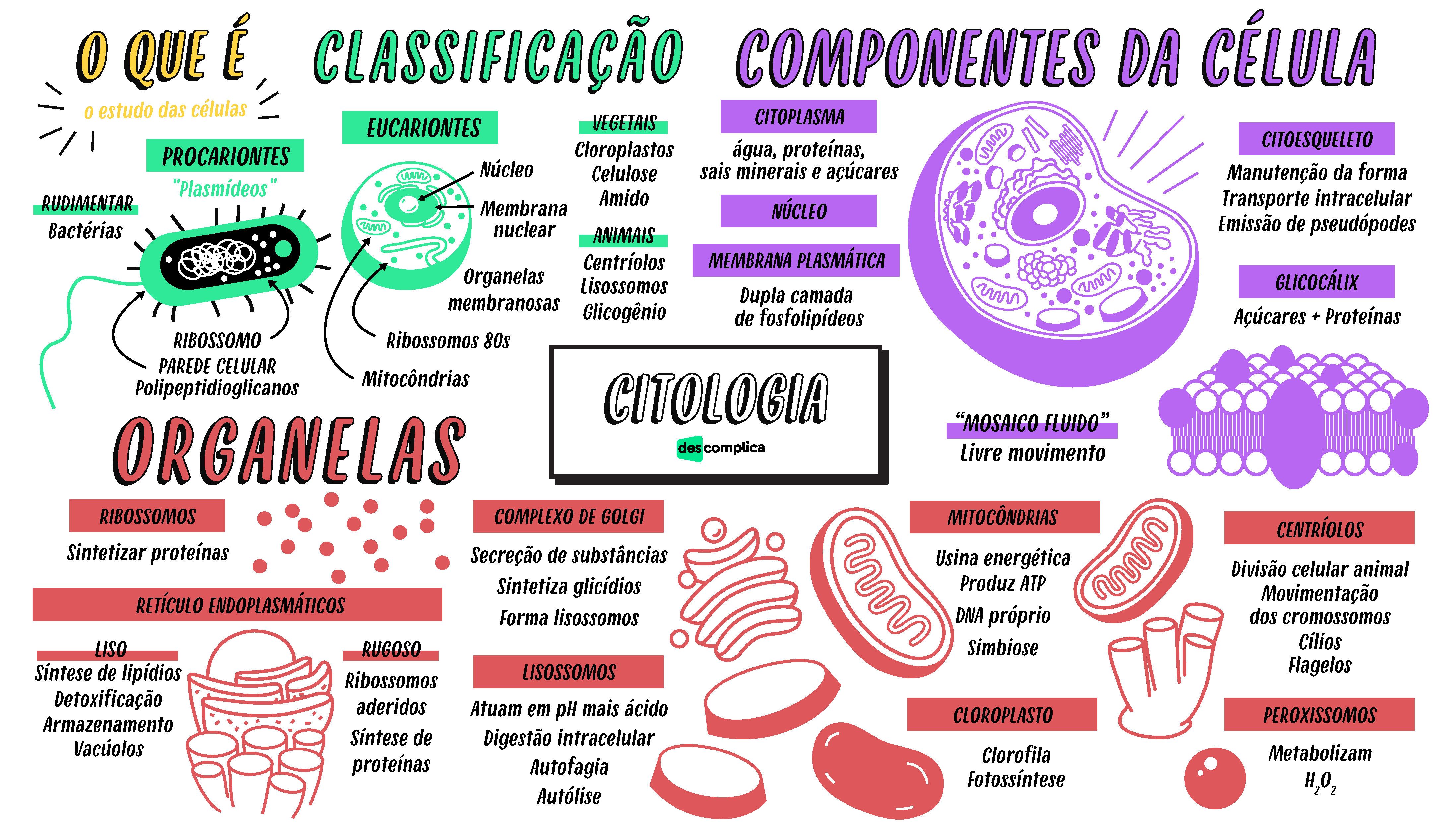 Biologia I