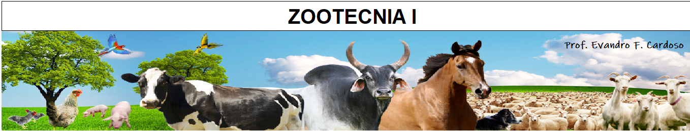 Fundamentos da Zootecnia. 2022.1