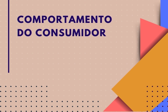 V11 - Comportamento do Consumidor