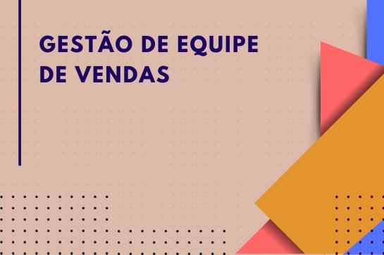 V13 - Gestão de Equipe de Vendas