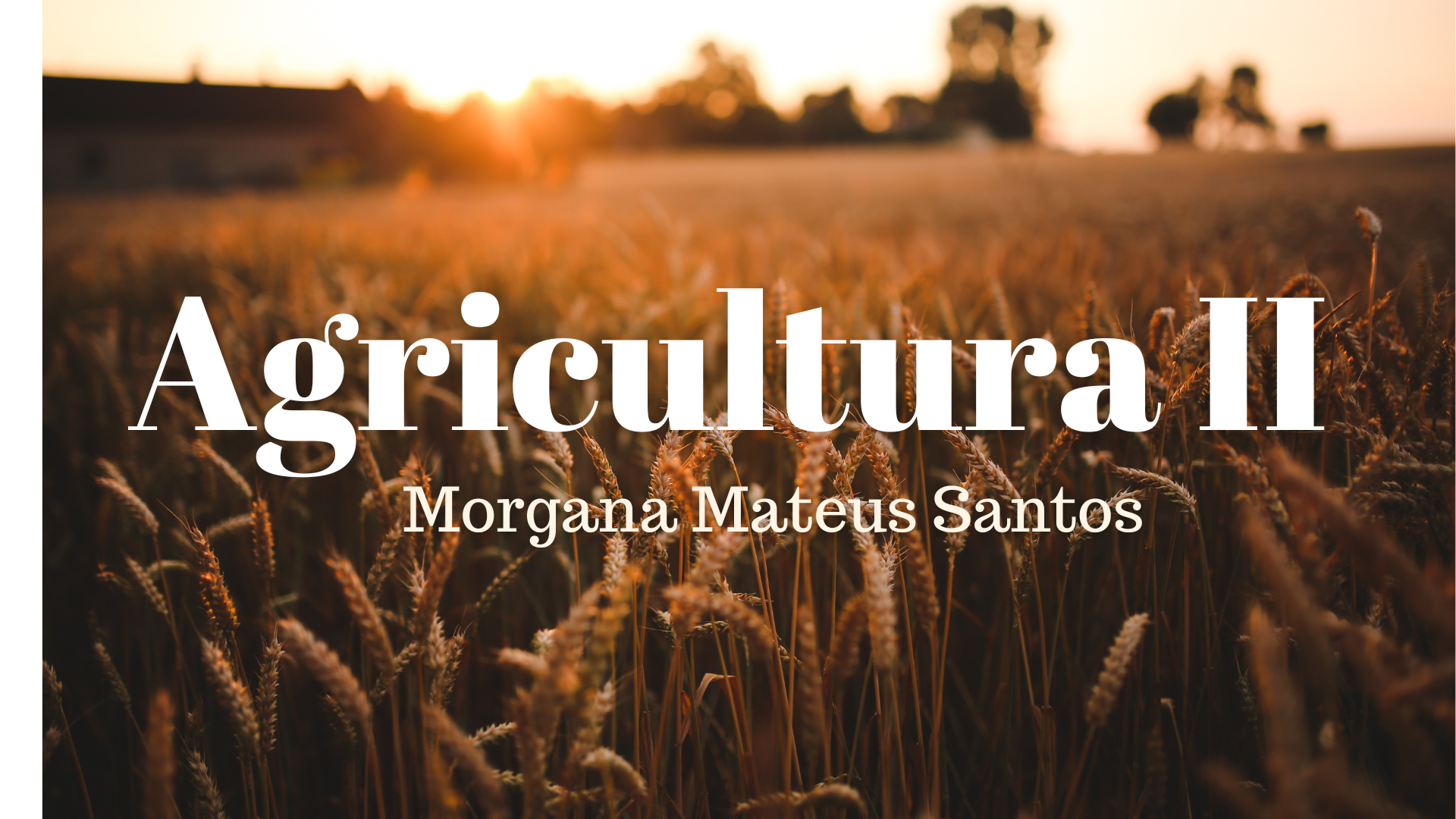 Agricultura II 2º A, B, C, D (2023) Docente Morgana Mateus